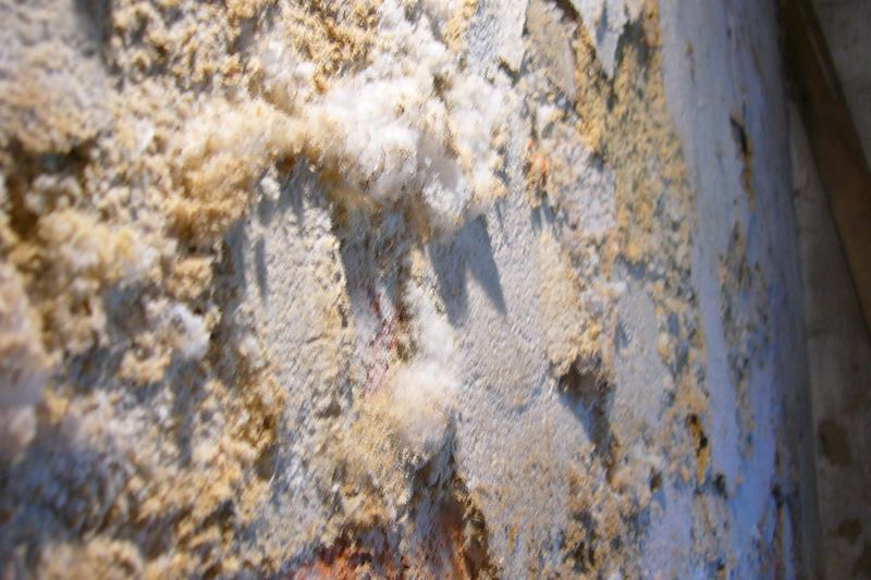 White efflorescence salt deposits on a damp masonry wall